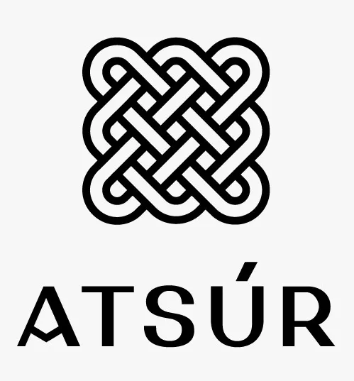 Astur | Brands - Paragon Consulting